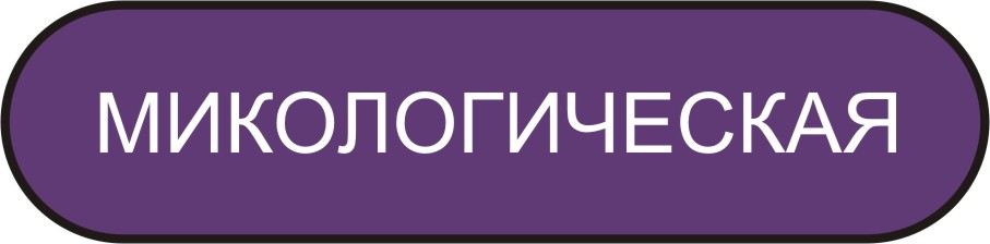 микологическая экспертиза в Мурманске микологическая экспертиза в Мурманске
