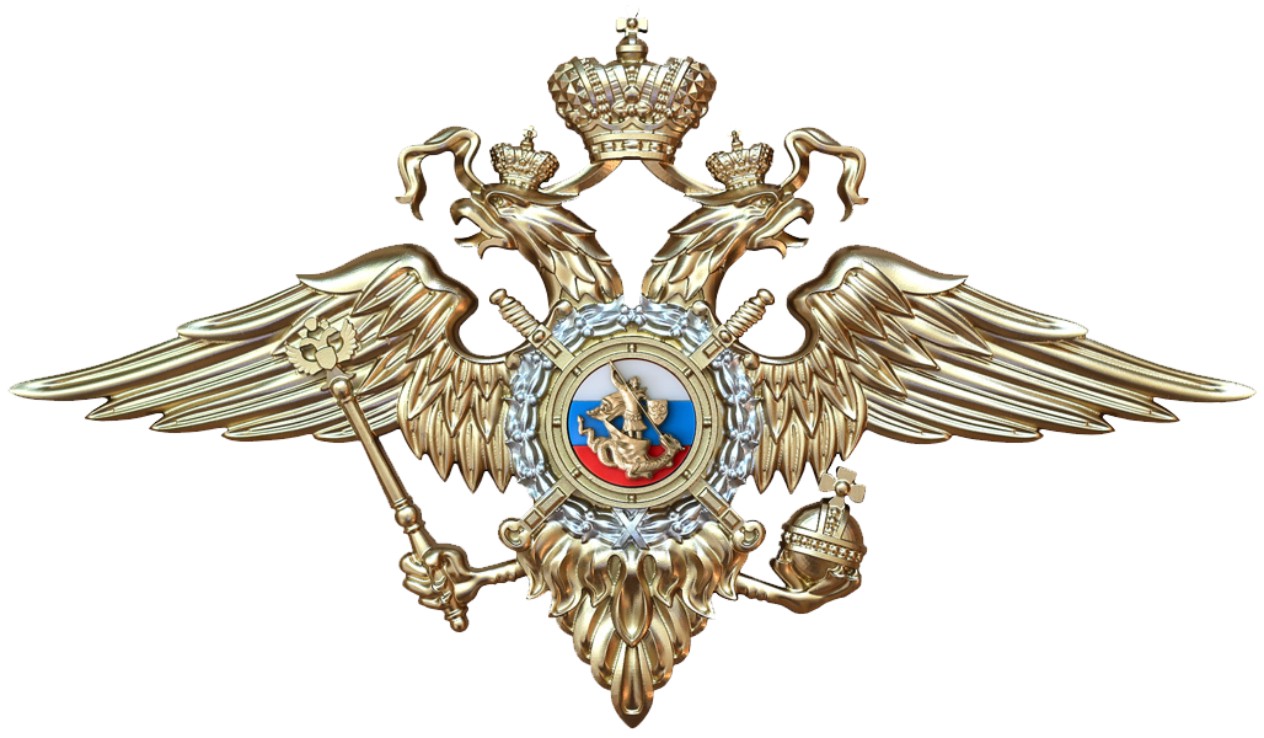 министерство внутренних дел Российской Федерации